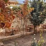 The quiet courtyard garden of Big Mama's home in Bukhara